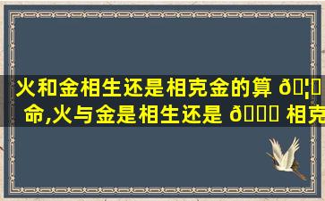 火和金相生还是相克金的算 🦄 命,火与金是相生还是 🐟 相克能生活在一起吗